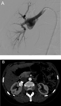 Figure 5