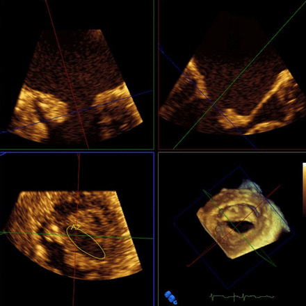 Figure 5