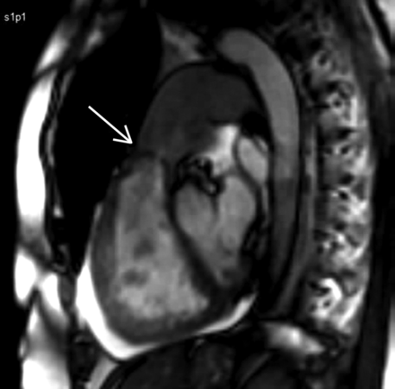 Figure 7