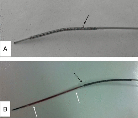 Figure 3