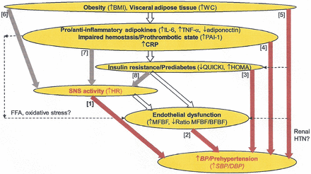 Figure 1