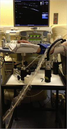 Figure 1